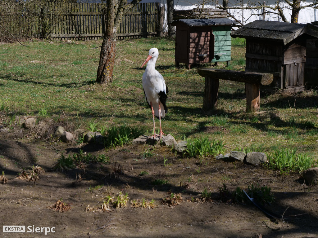 Gry i zabawy wielkanocne