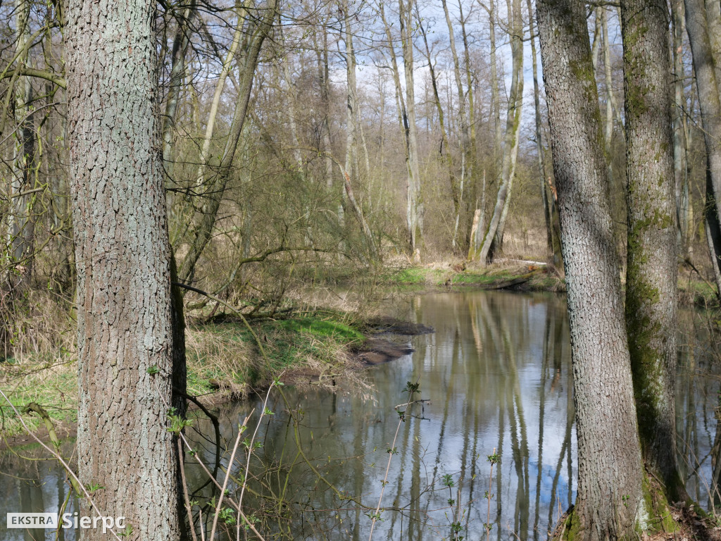 Gry i zabawy wielkanocne