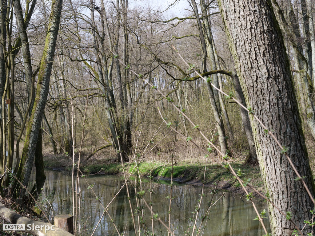 Gry i zabawy wielkanocne