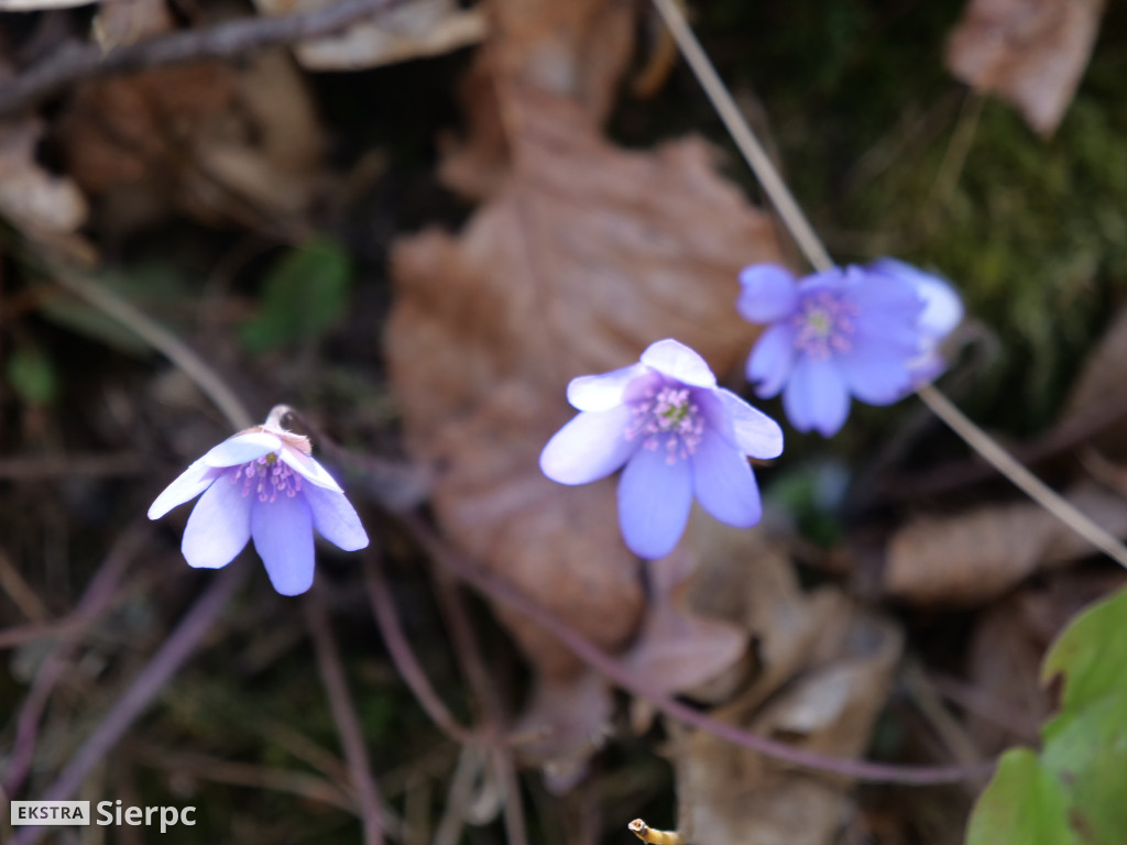 Gry i zabawy wielkanocne