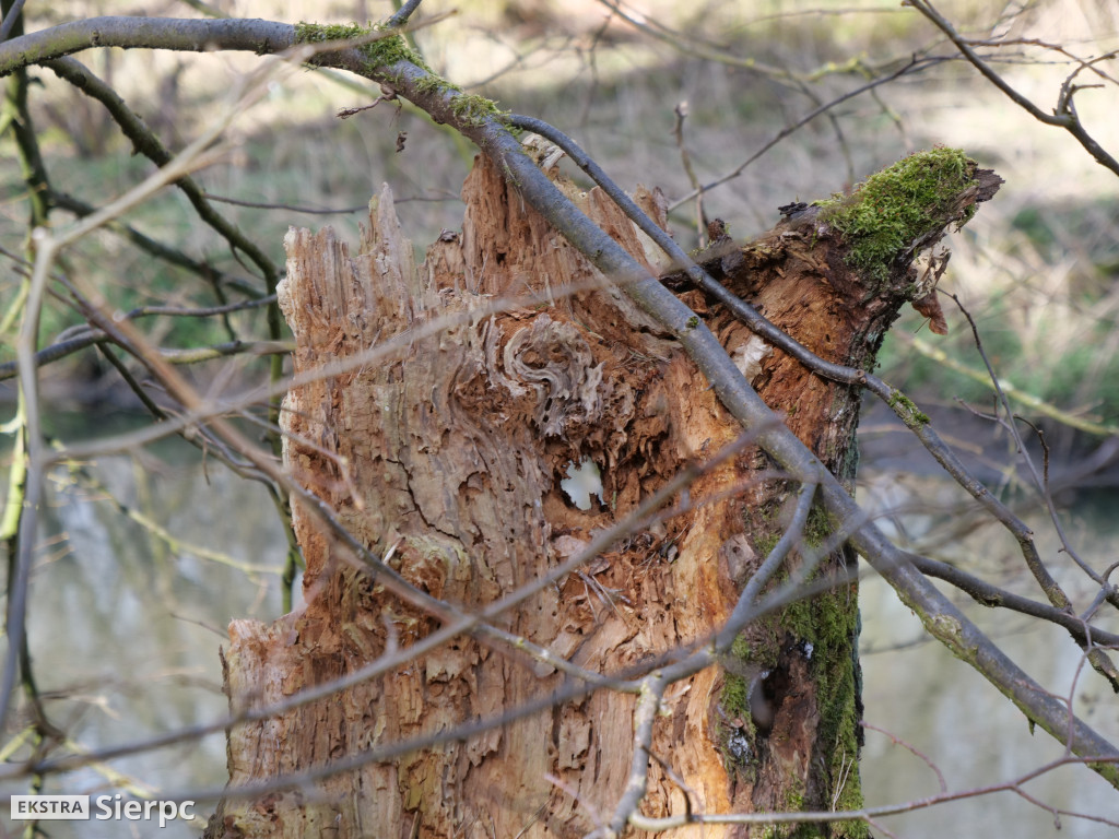 Gry i zabawy wielkanocne