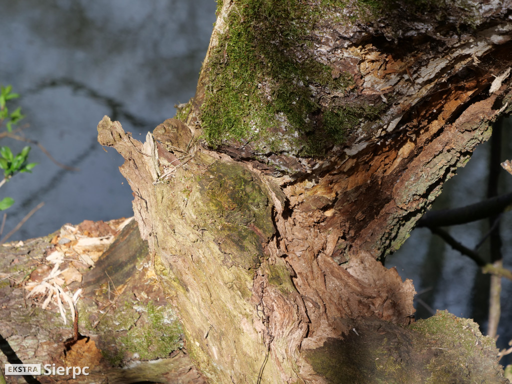 Gry i zabawy wielkanocne