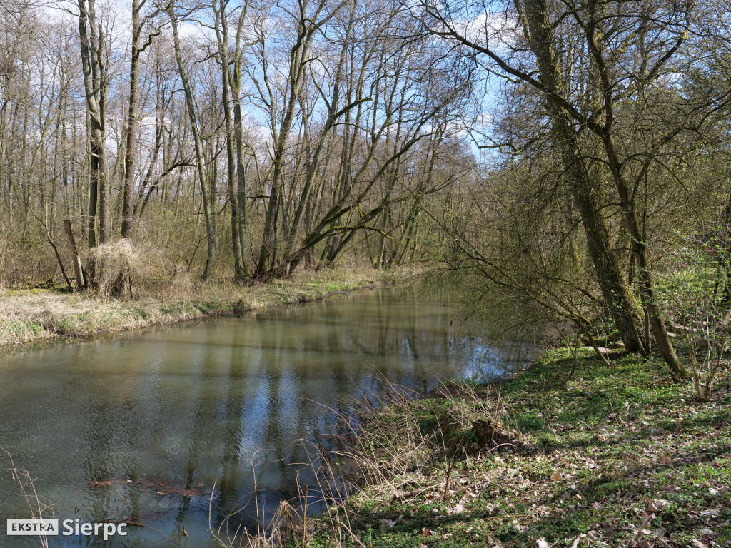 Gry i zabawy wielkanocne