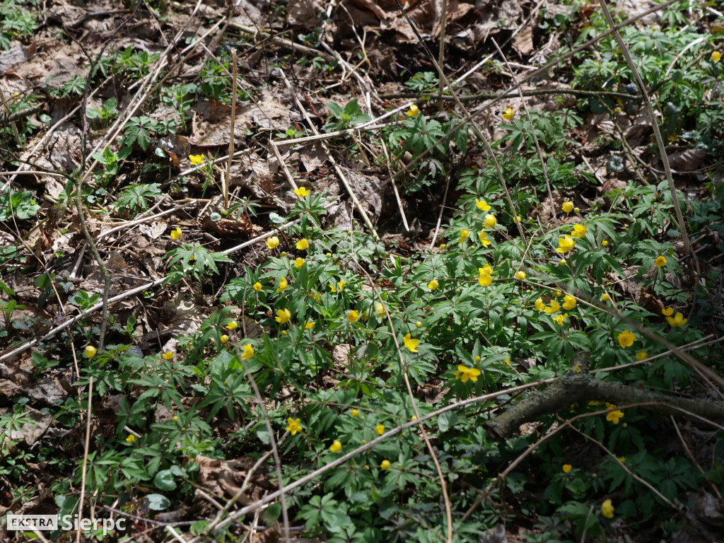 Gry i zabawy wielkanocne