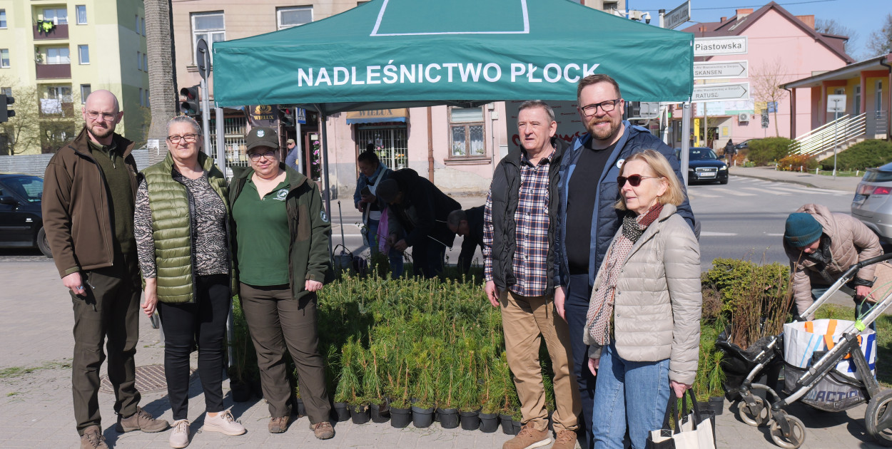 Sadzonki dla mieszkańców Sierpca
