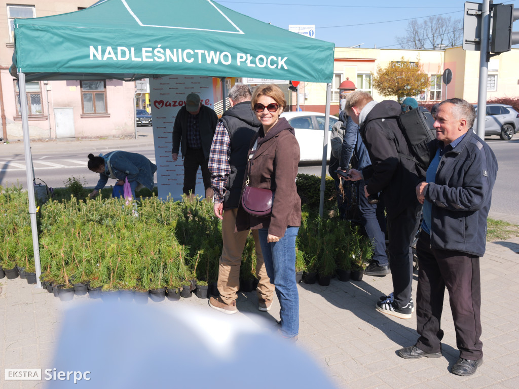 Sadzonki dla mieszkańców Sierpca