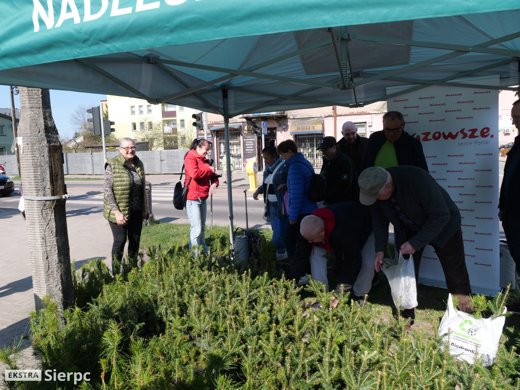 Sadzonki dla mieszkańców Sierpca