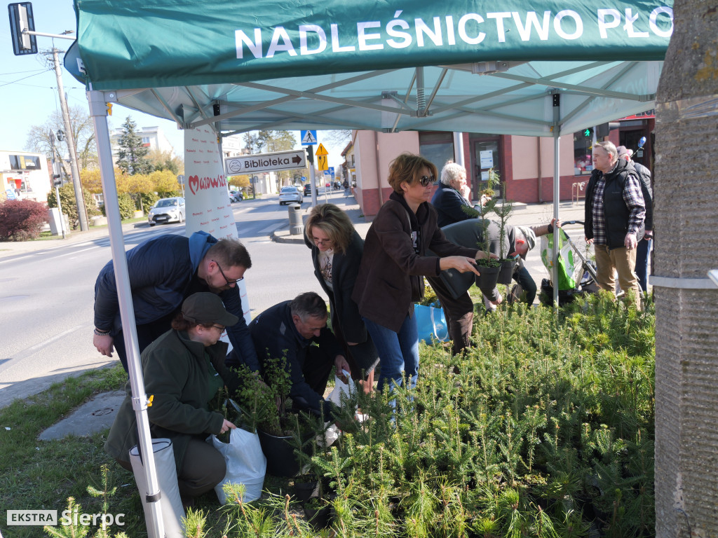Sadzonki dla mieszkańców Sierpca