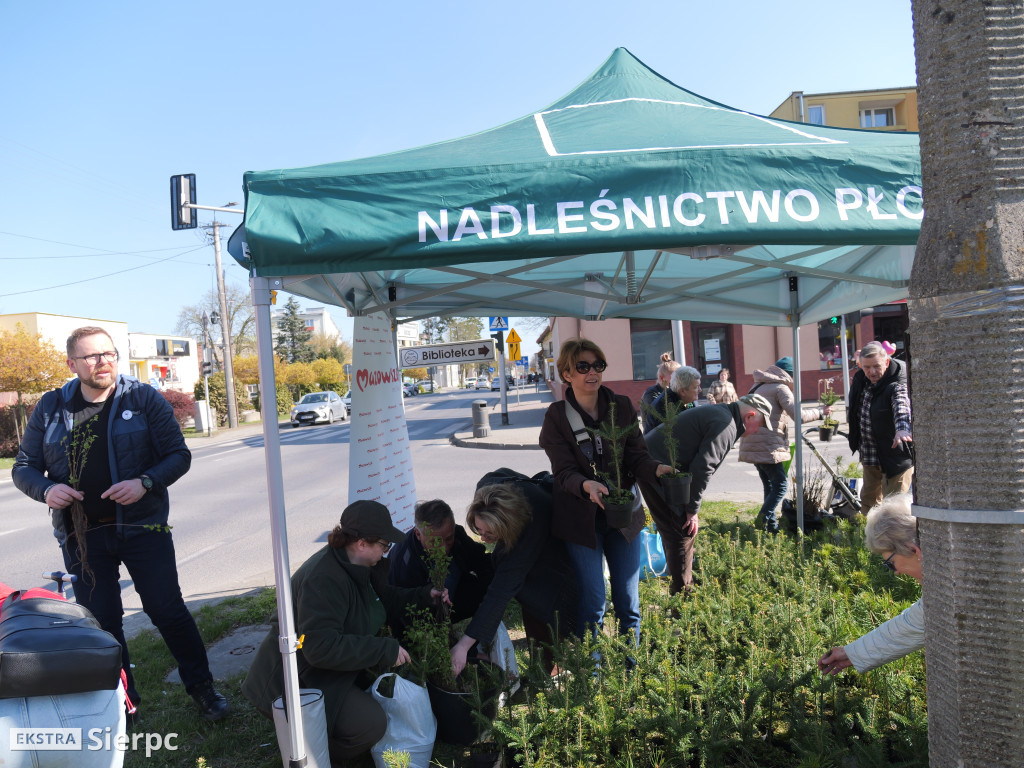 Sadzonki dla mieszkańców Sierpca