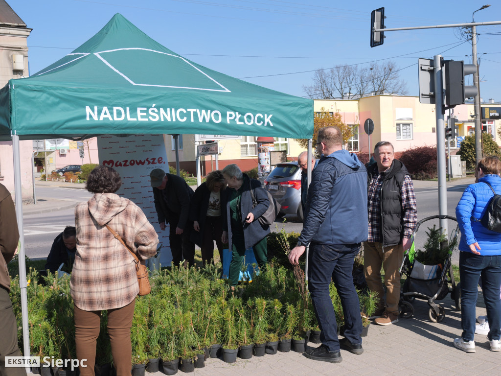 Sadzonki dla mieszkańców Sierpca