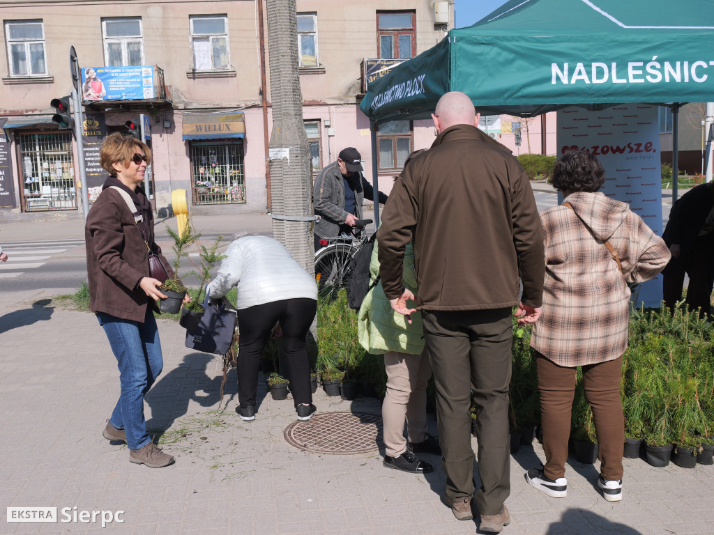 Sadzonki dla mieszkańców Sierpca