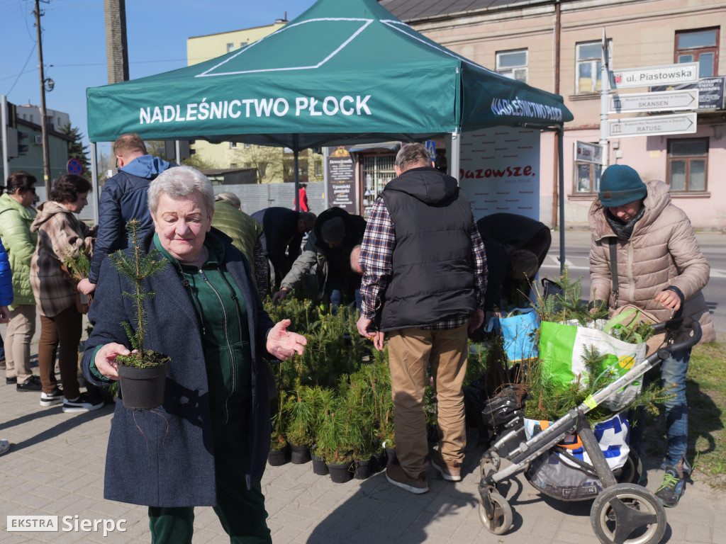 Sadzonki dla mieszkańców Sierpca