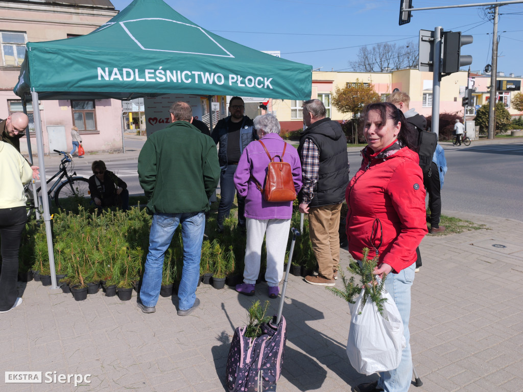 Sadzonki dla mieszkańców Sierpca