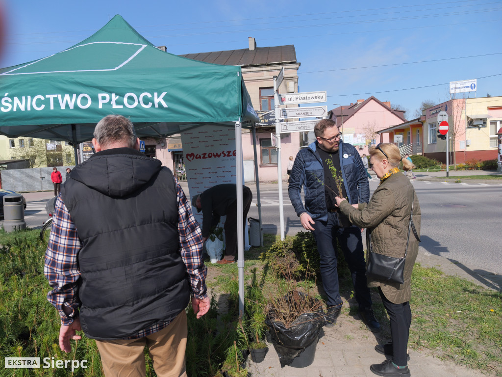 Sadzonki dla mieszkańców Sierpca