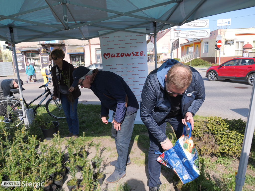 Sadzonki dla mieszkańców Sierpca