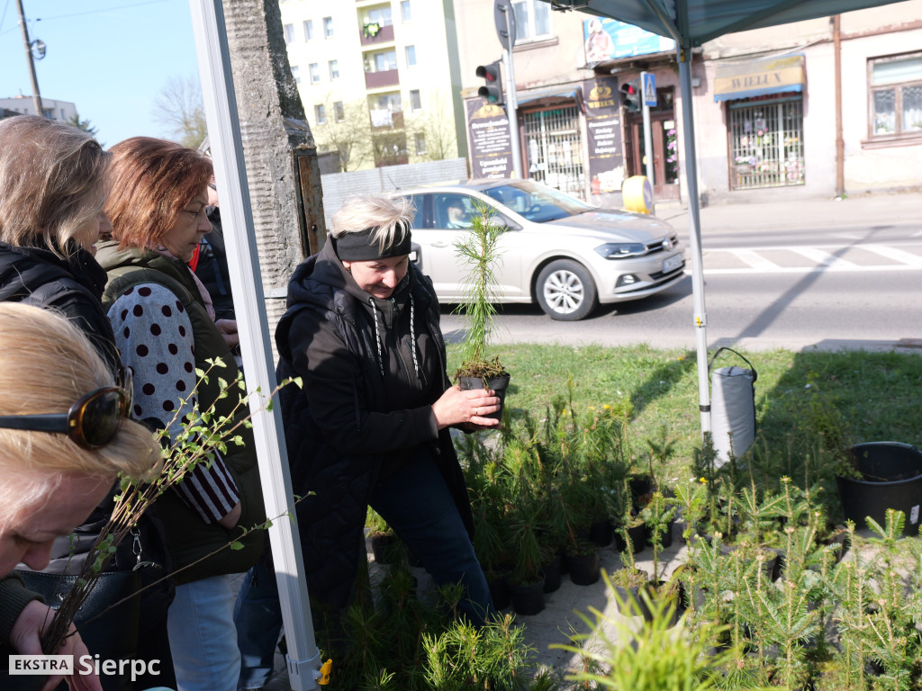 Sadzonki dla mieszkańców Sierpca