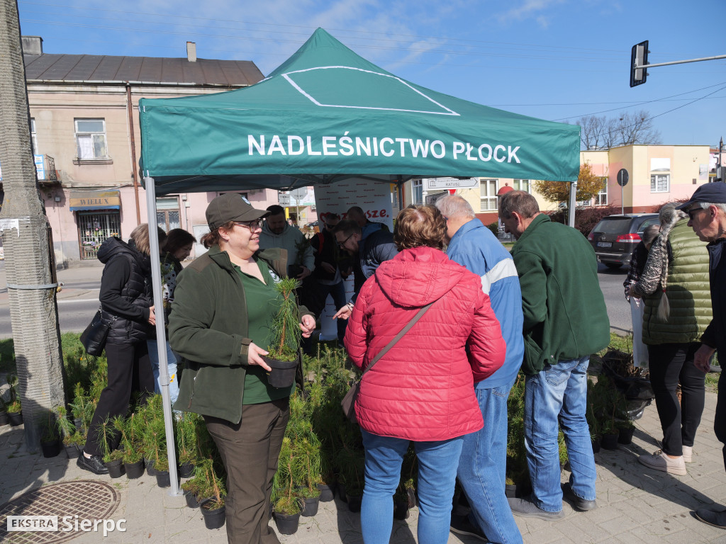 Sadzonki dla mieszkańców Sierpca