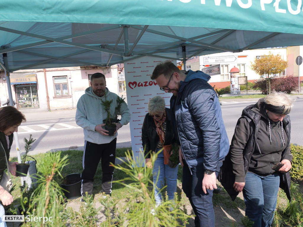 Sadzonki dla mieszkańców Sierpca