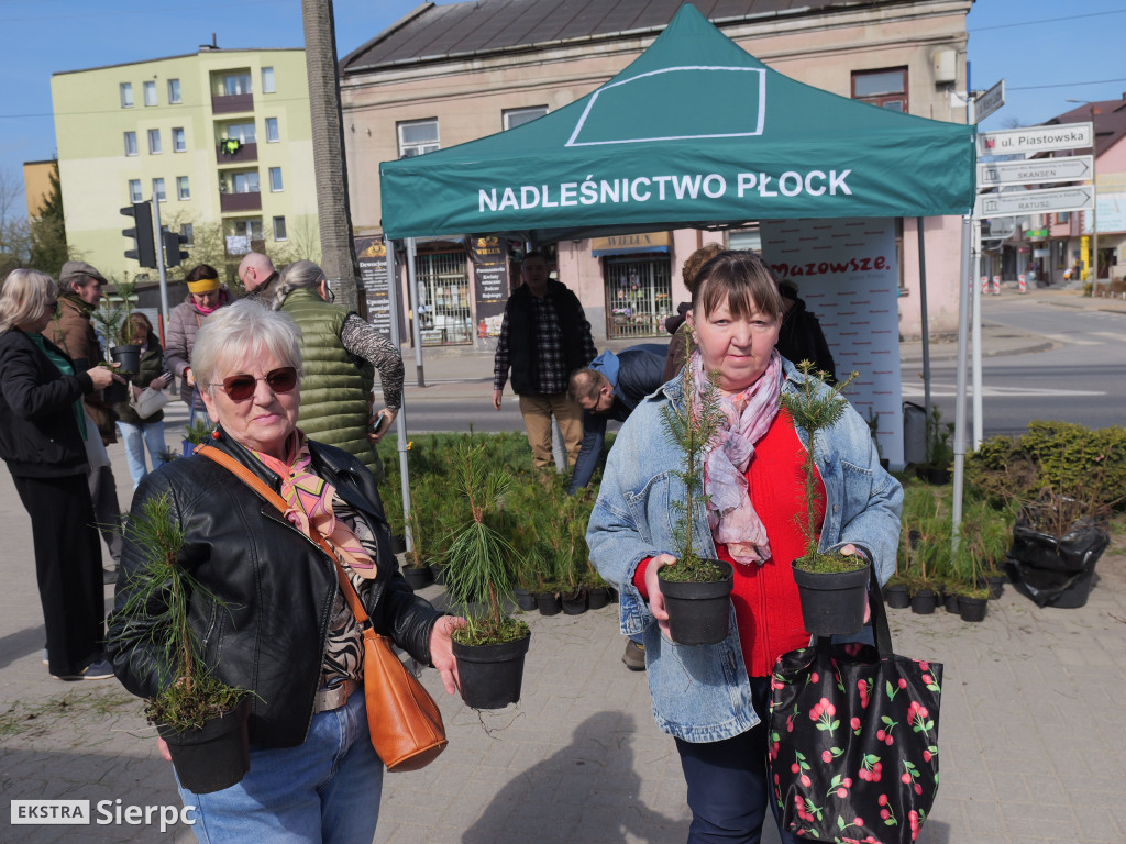 Sadzonki dla mieszkańców Sierpca