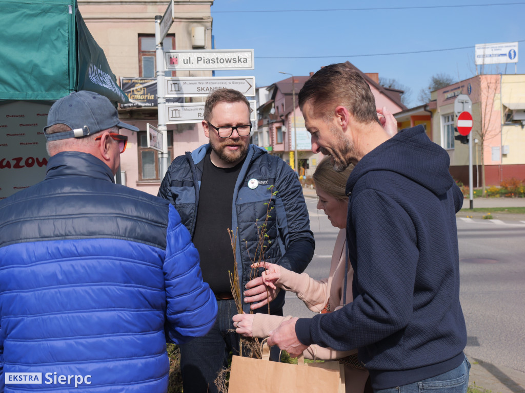 Sadzonki dla mieszkańców Sierpca
