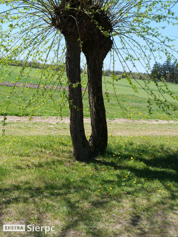 Majówka w skansenie