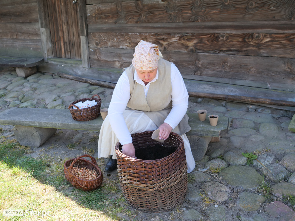 Gotowanie na polanie