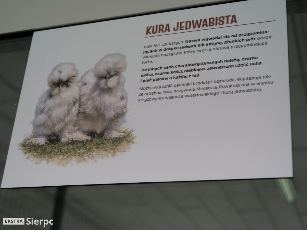 Dzień otwarty w ZSCKR w Studzieńcu