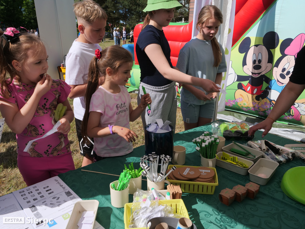 Piknik ekologiczno–sportowy w Borkowie Kościelnym