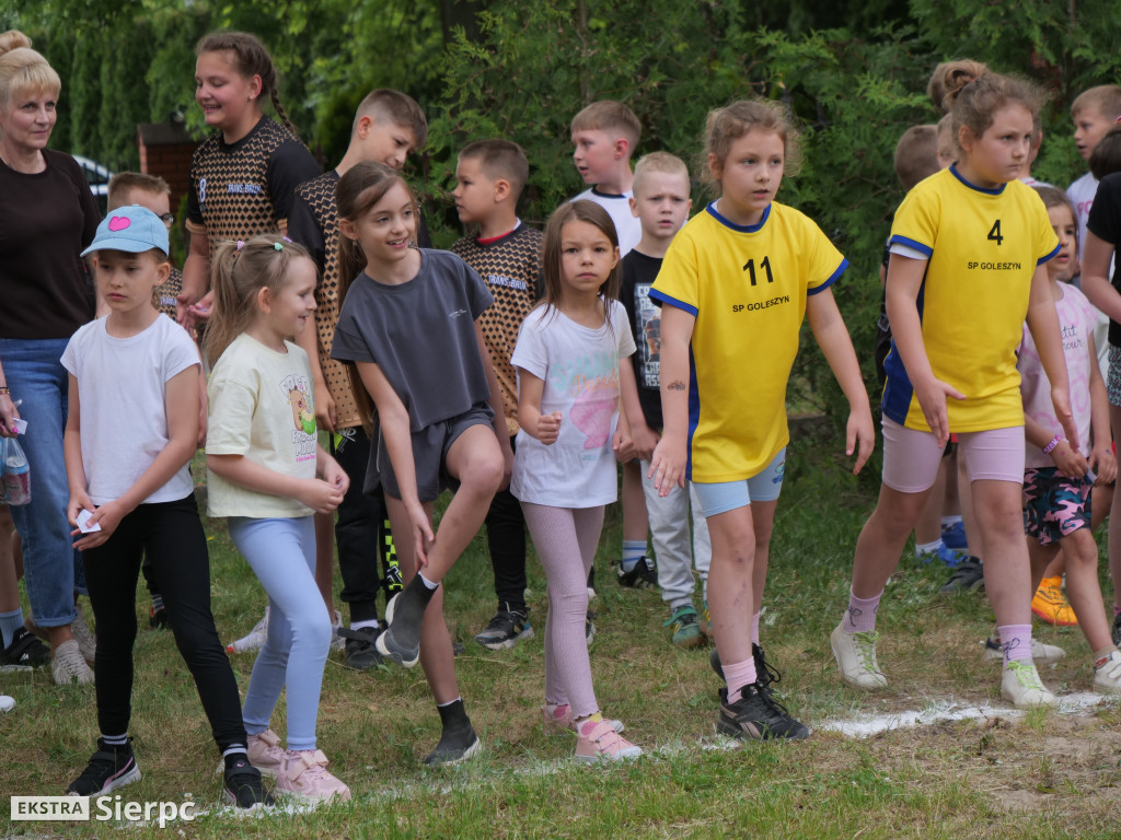 Piknik ekologiczno–sportowy w Borkowie Kościelnym