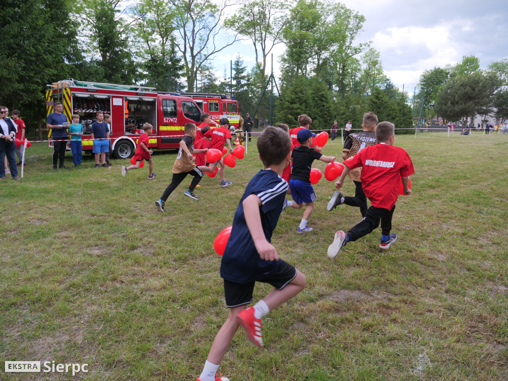 Piknik ekologiczno–sportowy w Borkowie Kościelnym