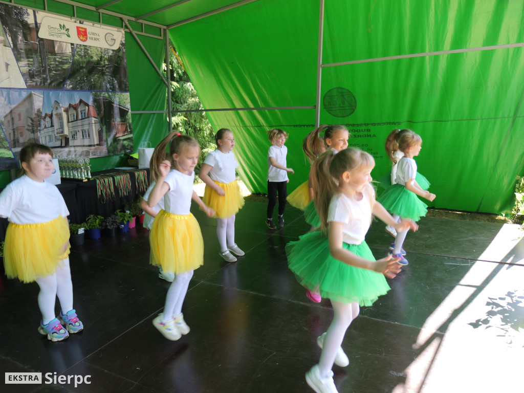 Piknik ekologiczno–sportowy w Borkowie Kościelnym