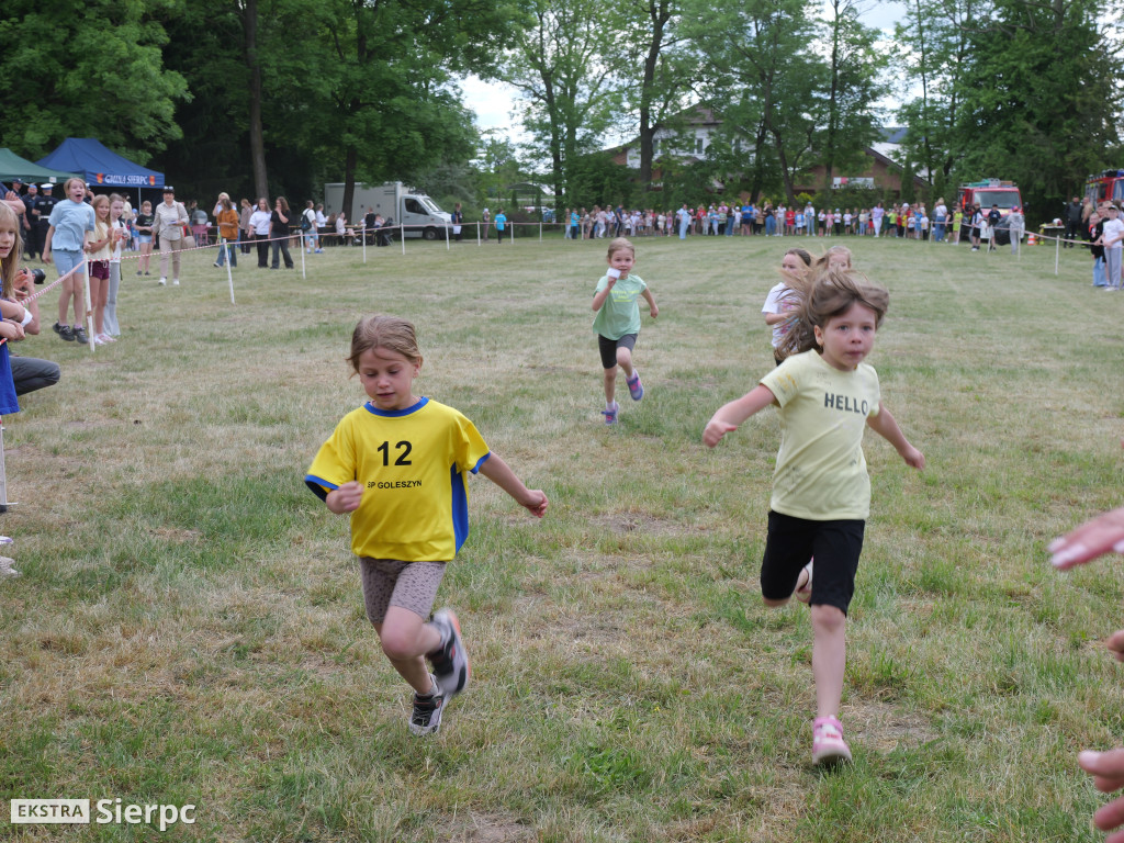 Piknik ekologiczno–sportowy w Borkowie Kościelnym