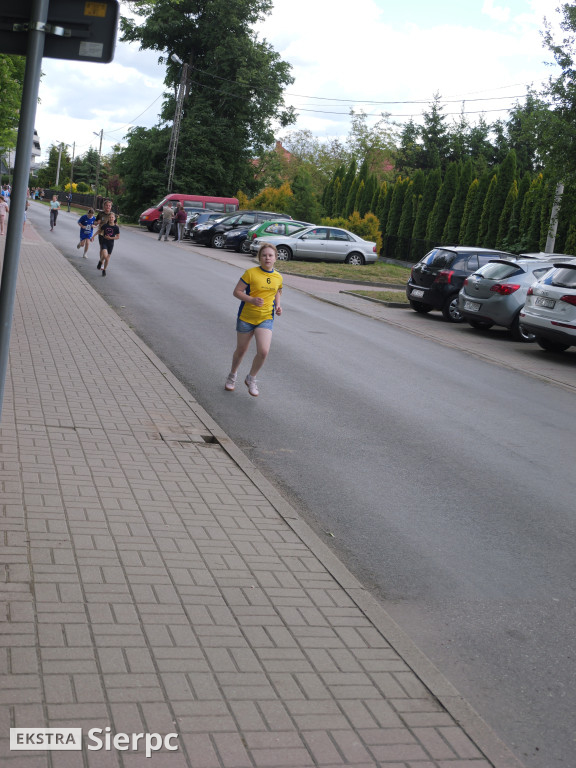 Piknik ekologiczno–sportowy w Borkowie Kościelnym