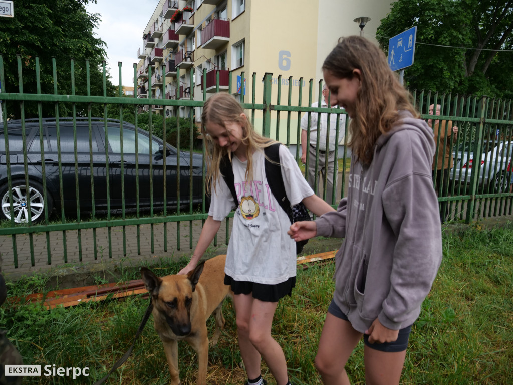 Powiatowy Festyn Rodzinny Antoniada w Sierpcu