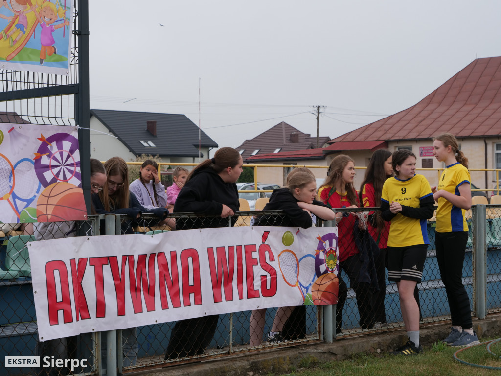 „Aktywna Wieś” w Goleszynie