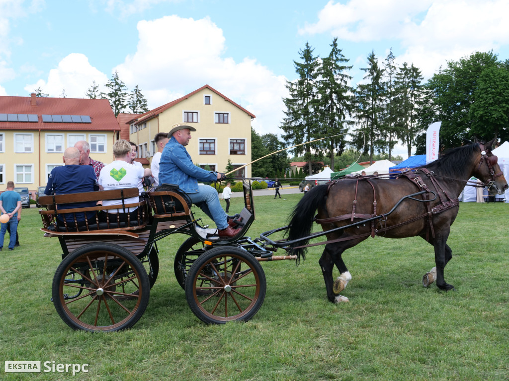 Polskie Smaki w Studzieńcu