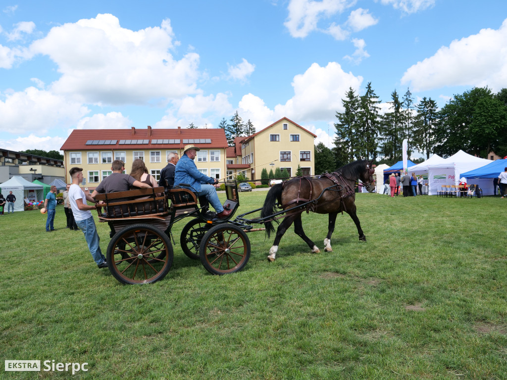 Polskie Smaki w Studzieńcu