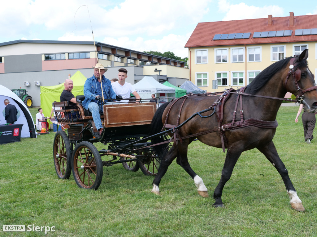 Polskie Smaki w Studzieńcu