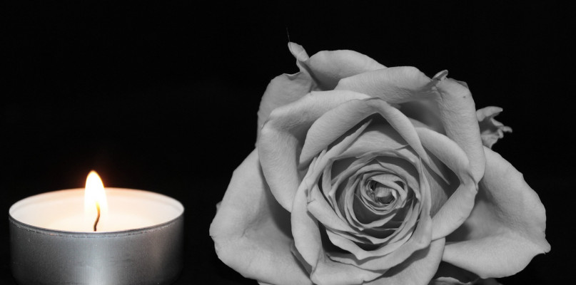 fot. pixabay