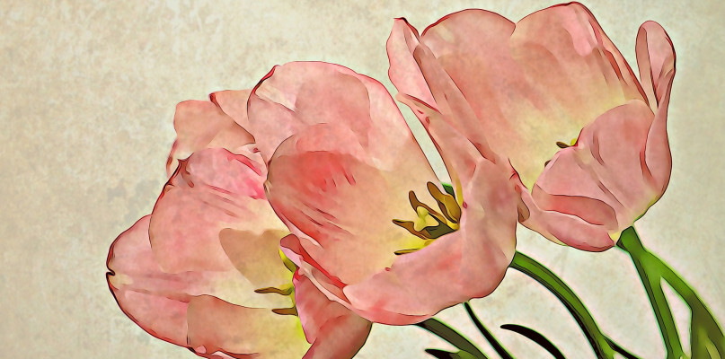 zdjęcie ilustracyjne, fot. pixabay
