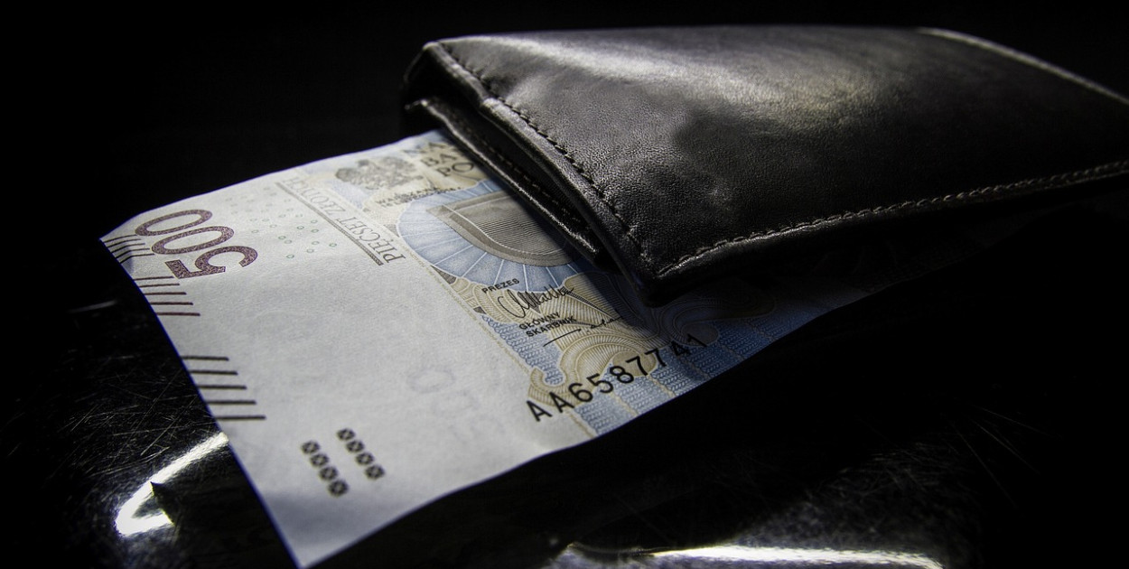 zdjęcie ilustracyjne, fot. pixabay.com