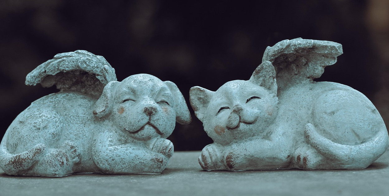 zdjęcie ilustracyjne, fot. pixabay.com