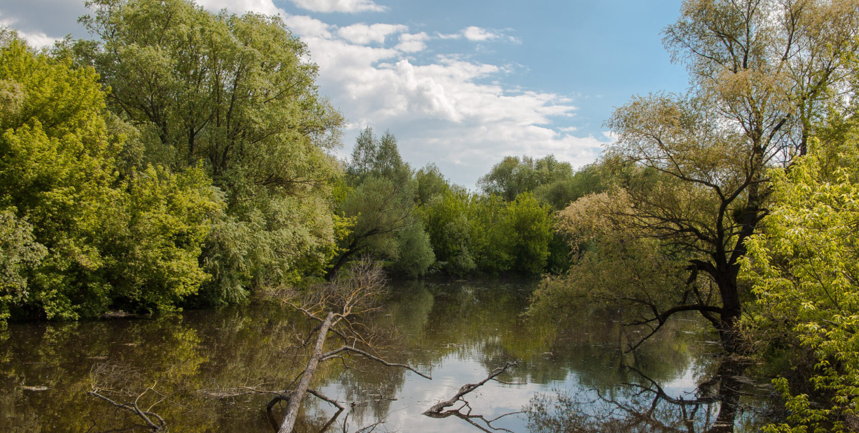 https://mazowsze.travel/aktywnie/nadbuzanski-park-krajobrazowy-na-granicy-mazowsza-kurpiowszczyzny-i-podlasia/