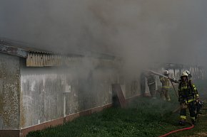 Pożar kurnika w Mieszczku-3021