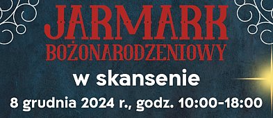 Jarmark bożonarodzeniowy-1566