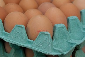 Salmonella na jajach znanej marki. Nie jedz, jeśli masz je w lodówce!-19822