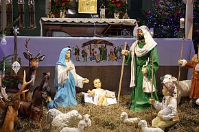 Szopki bożonarodzeniowe w sierpeckich kościołach-4474