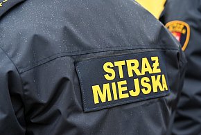 Zapuka strażnik, zapłacisz karę. Ruszyły kontrole w całej Polsce-21144
