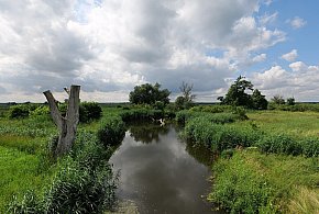 Co dalej z nowym parkiem narodowym? Minister klimatu zdradza plan po wecie-21292