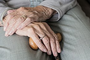 Te osoby dostaną dwie emerytury w grudniu. ZUS przesuwa przelewy-21371